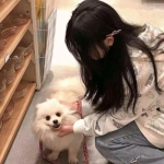 永恒秘境九游版下载